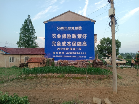 无为墙体广告的优劣势你知道吗？